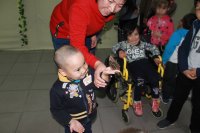 Мы посетили выставку «тропических живых бабочек»